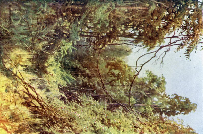 Leśna Polana autorstwa Robert George Talbot Kelly