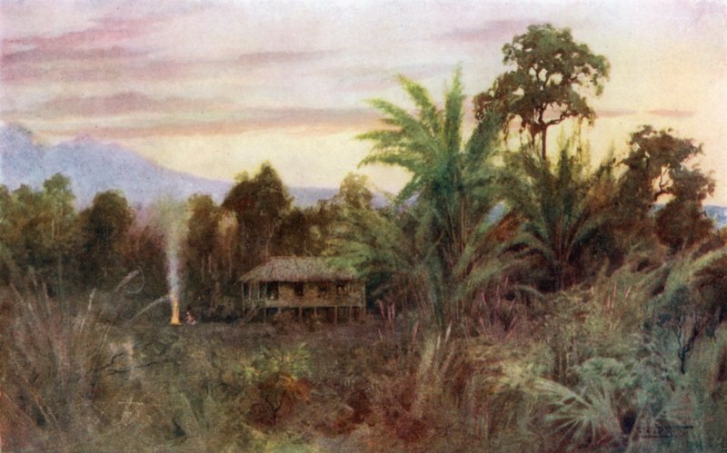 Leśne Tai autorstwa Robert George Talbot Kelly