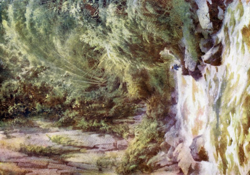 Górski potok autorstwa Robert George Talbot Kelly