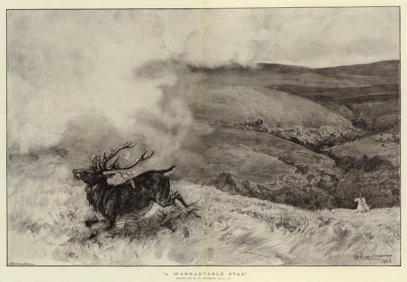 Jeleń godny zaufania autorstwa Robert Walker Macbeth