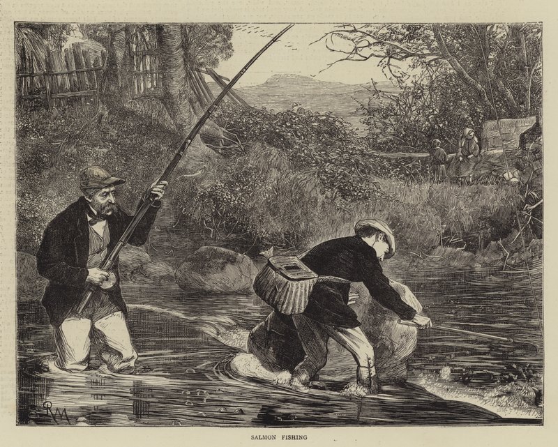 Łosoś Łosoś autorstwa Robert Walker Macbeth