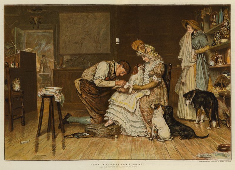 Zakład Weterynaryjny (chromolit) autorstwa Robert Walker Macbeth