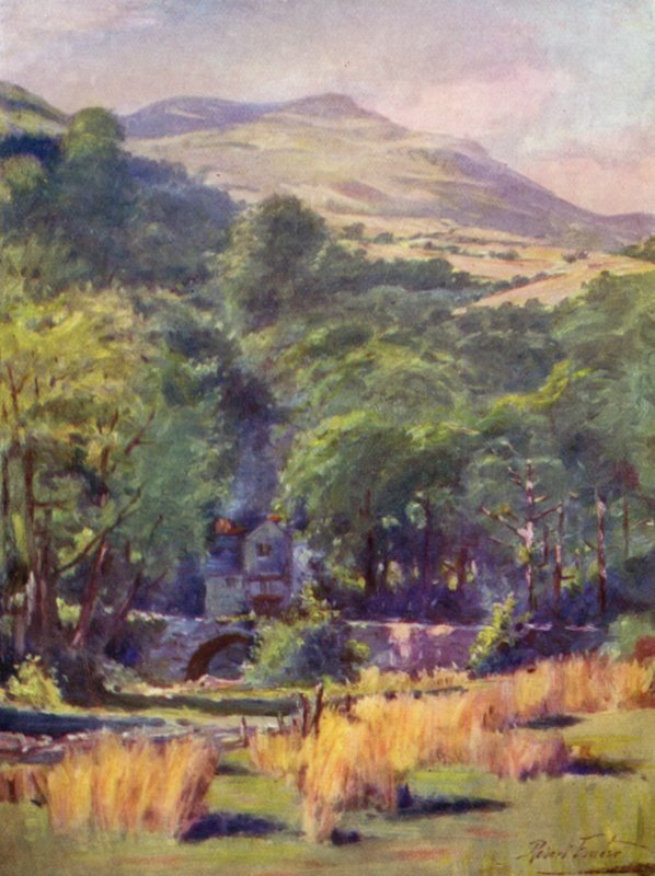Góra Duffws (kolor lito) autorstwa Robert (after) Fowler