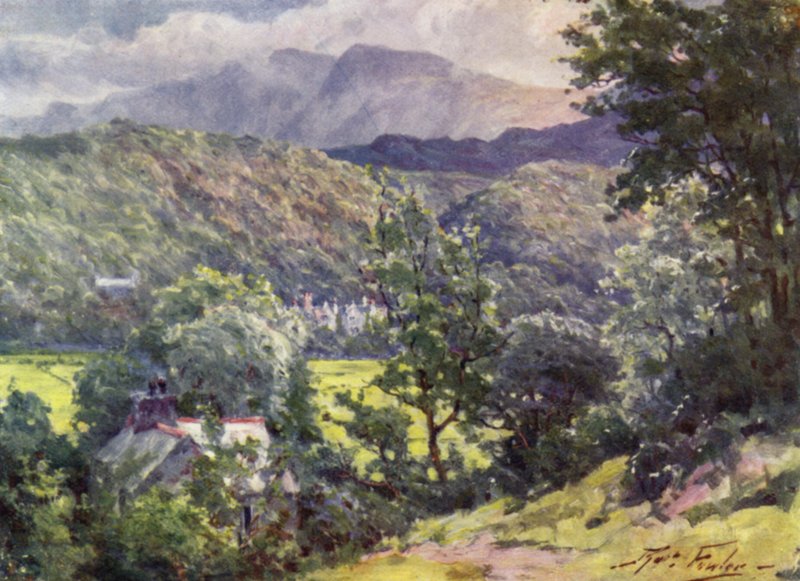 In the Woods, Farchynys, Barmouth Estuary (kolor lito) autorstwa Robert (after) Fowler