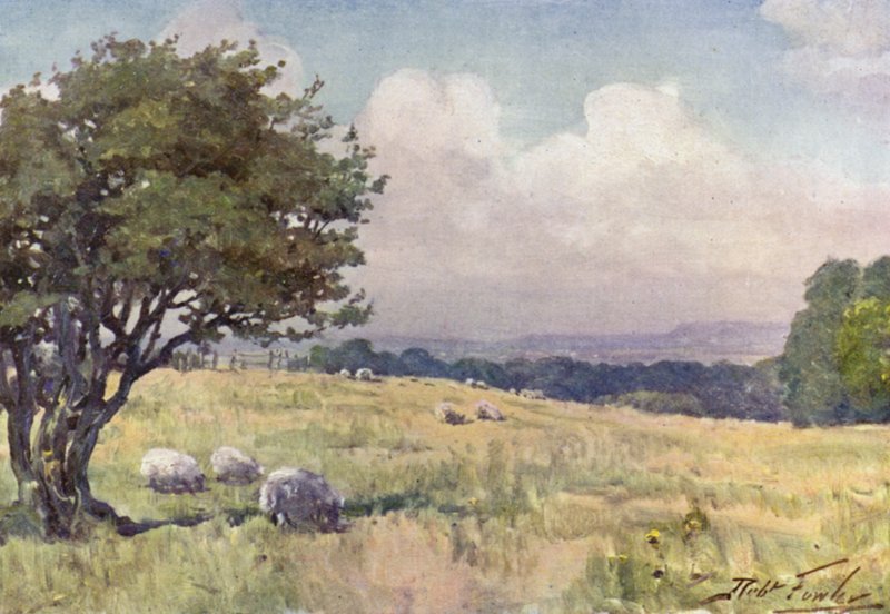 Sunny Field, niedaleko Llanberis (kolor lito) autorstwa Robert (after) Fowler