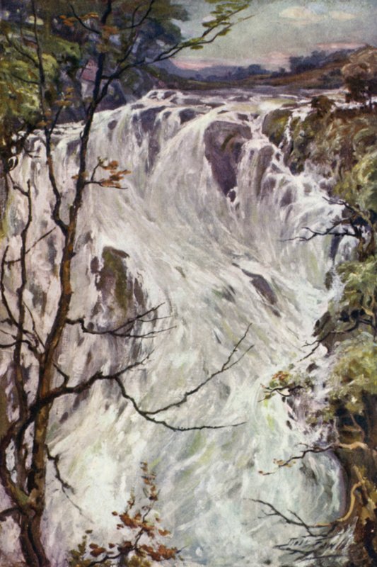 Swallow Falls, Bettws-y-Coed (kolor lito) autorstwa Robert (after) Fowler
