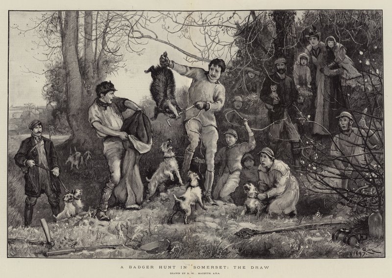 Polowanie na borsuka w Somerset, losowanie autorstwa Robert Walker Macbeth