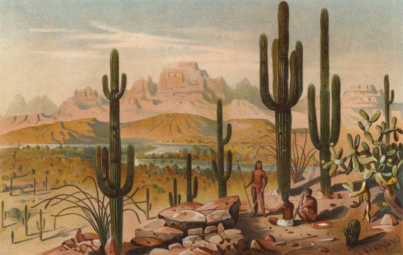 Kaktusy w górach Utah, USA autorstwa Rudolf Cronau