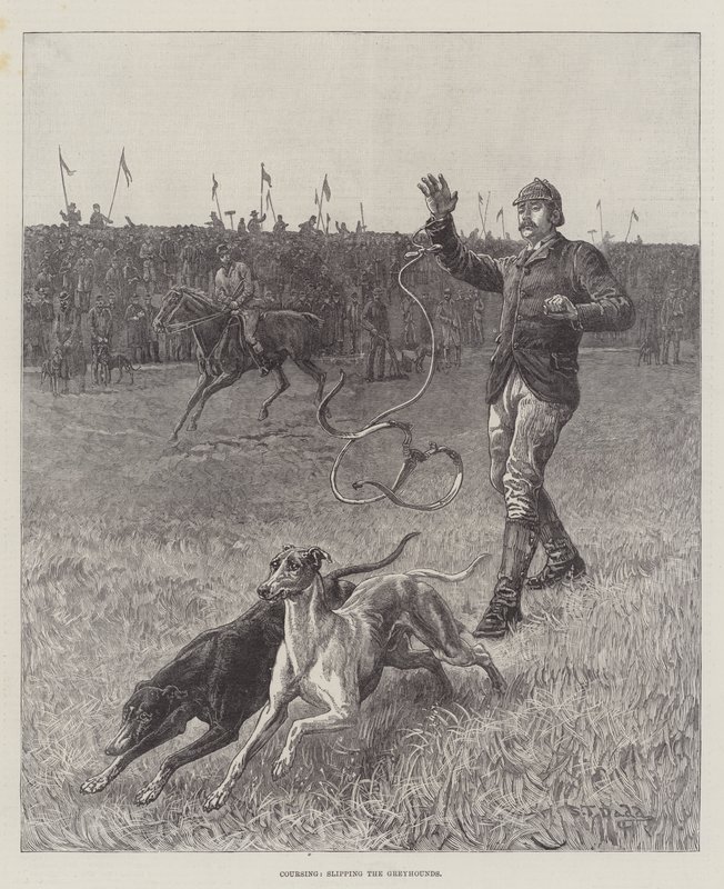 Coursing, ślizganie się chartów autorstwa S.T. Dadd