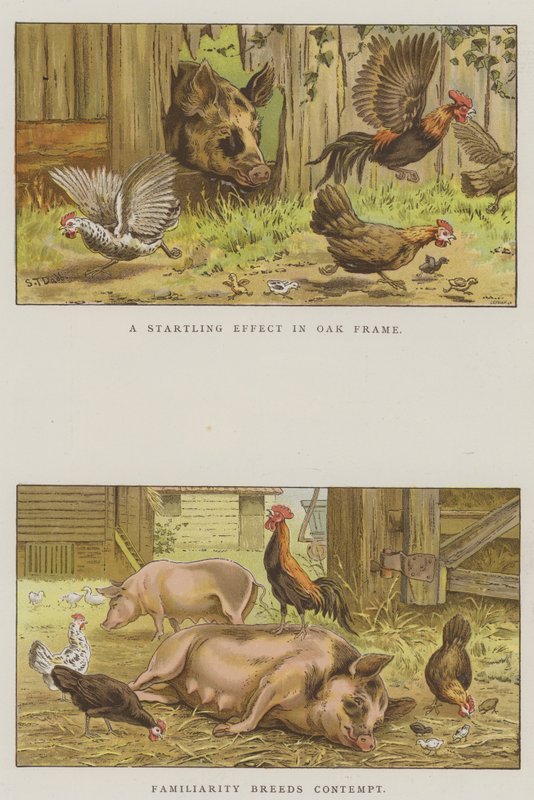 Sceny gospodarskie (chromolitho) autorstwa S.T. Dadd
