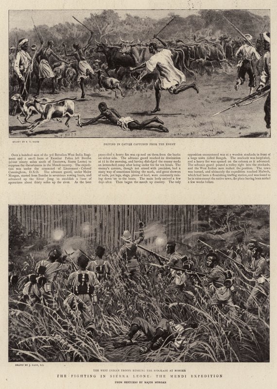 Walka w Sierra Leone, Ekspedycja Mendi autorstwa S.T. Dadd