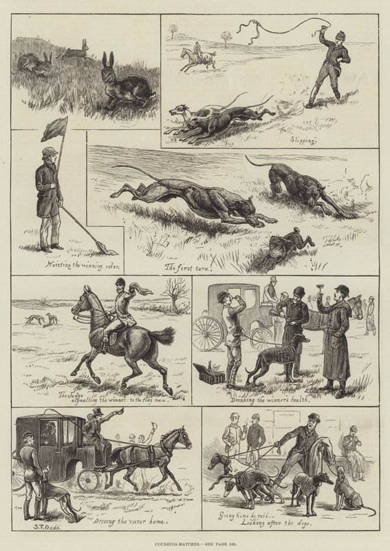 Coursing-Matches (grawerowanie) autorstwa S.T. (after) Dadd