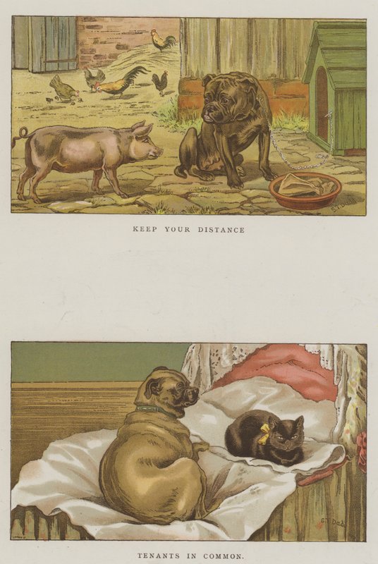 Psy humorystyczne (chromolitho) autorstwa S.T. Dadd