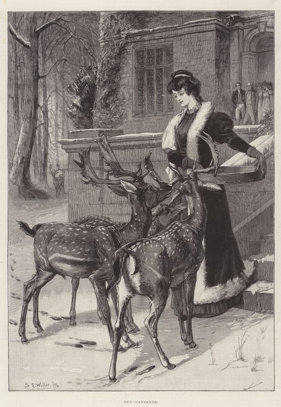 Pacjenci ambulatoryjni autorstwa Samuel Edmund Waller