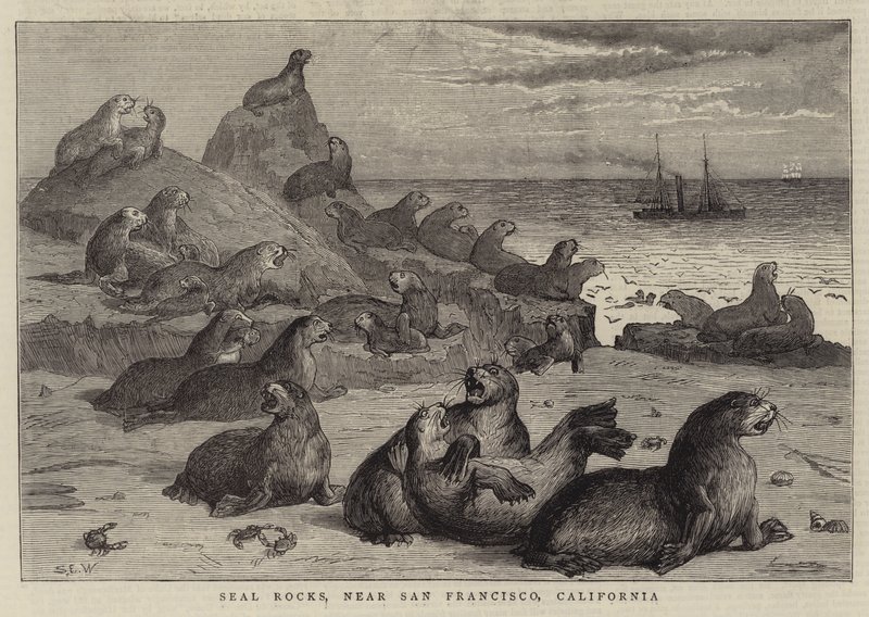 Seal Rocks, niedaleko San Francisco w Kalifornii autorstwa Samuel Edmund Waller