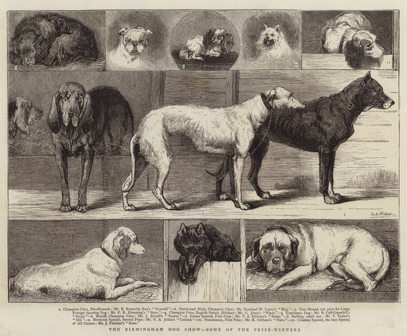 Wystawa w Birmingham, niektórzy z nagrodzonych autorstwa Samuel Edmund Waller