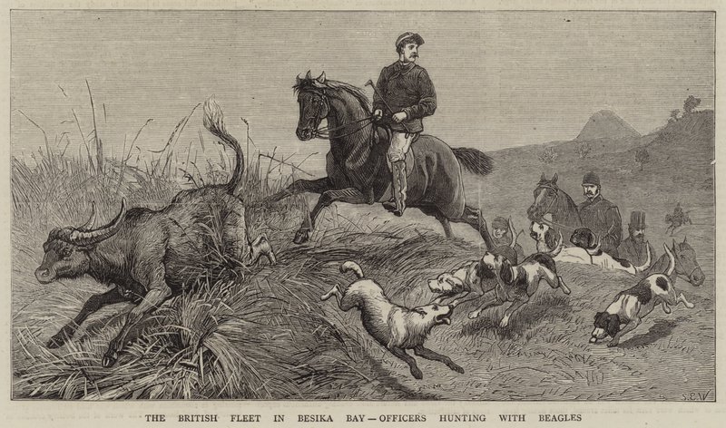 Flota brytyjska w zatoce Besika, oficerowie polujący na beagle autorstwa Samuel Edmund Waller