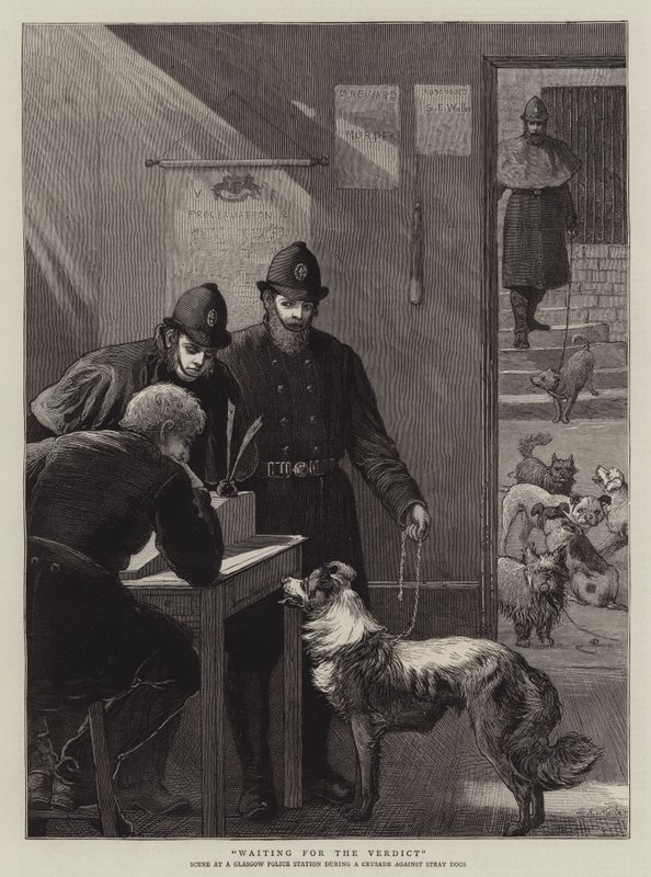 Czekam na werdykt autorstwa Samuel Edmund Waller