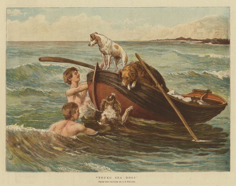 Młode psy morskie (chromolitho) autorstwa Samuel Edmund Waller