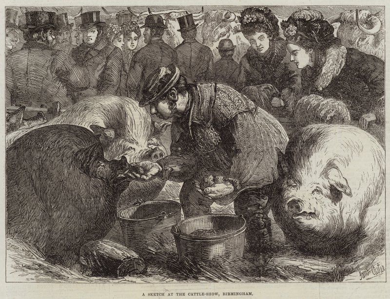 Szkic na wystawie bydła w Birmingham autorstwa Samuel John Carter