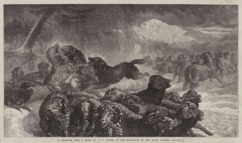 Pieczęć od wilka autorstwa Samuel John Carter