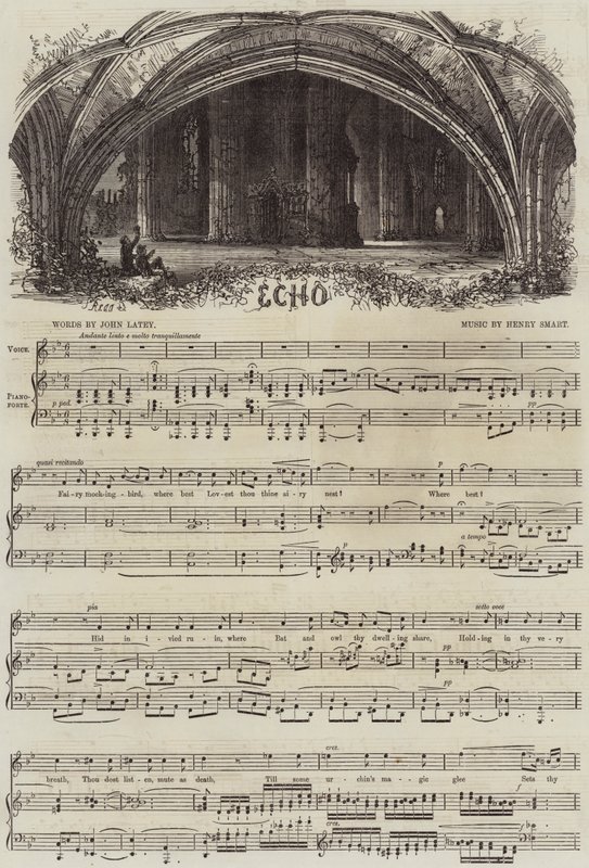 Echo autorstwa Samuel Read