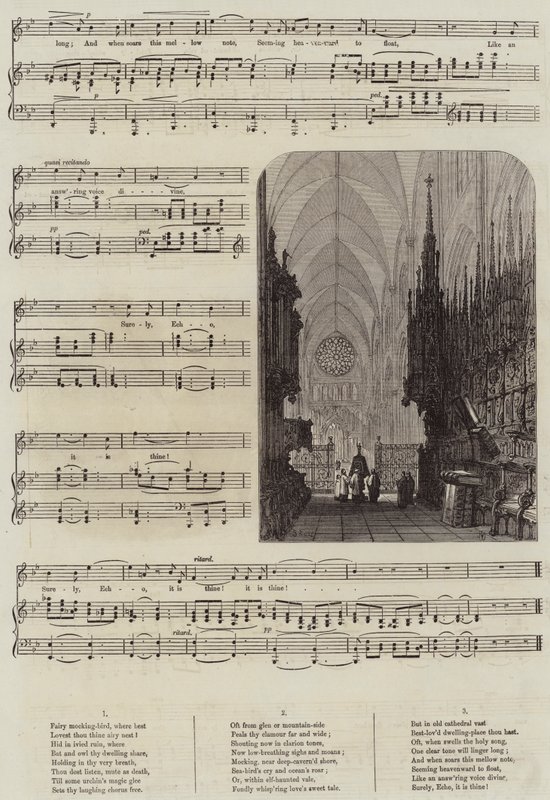 Echo autorstwa Samuel Read