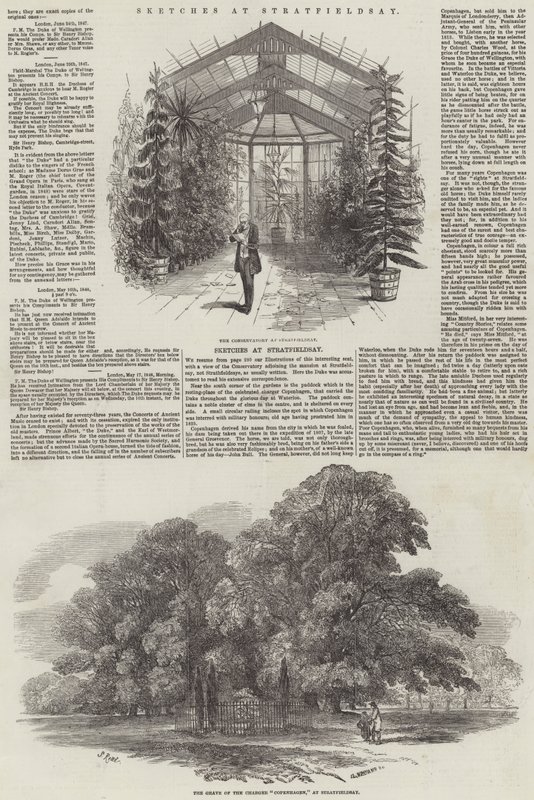 Szkice w Stratfieldsay autorstwa Samuel Read
