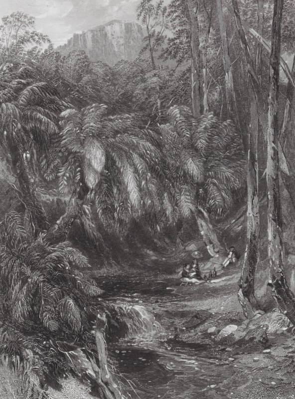 Australia: Dolina drzew paproci (rycina) autorstwa Samuel (after) Prout