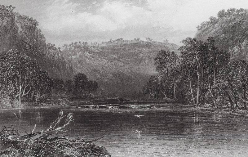 Australia: Nad rzeką Cow Pasture (rycina) autorstwa Samuel (after) Prout