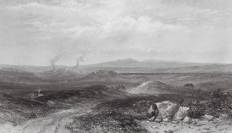 Australia: Widok w pobliżu Botany Bay (grawerunek) autorstwa Samuel (after) Prout