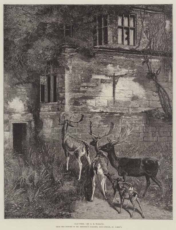 Nawiedzany autorstwa Samuel Edmund Waller