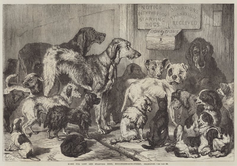 Dom dla zagubionych i głodujących psów, Hollingsworth-Street, Islington autorstwa Samuel John Carter