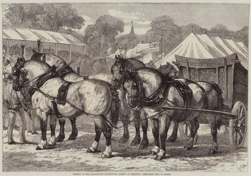 Spotkanie Towarzystwa Rolniczego Lincolnshire w Sleaford, drużyna koni pierwszej nagrody autorstwa Samuel John Carter