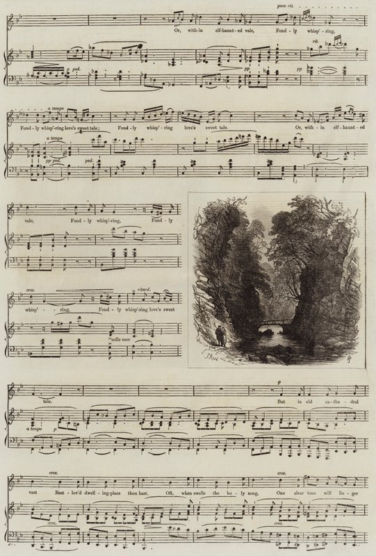 Echo autorstwa Samuel Read