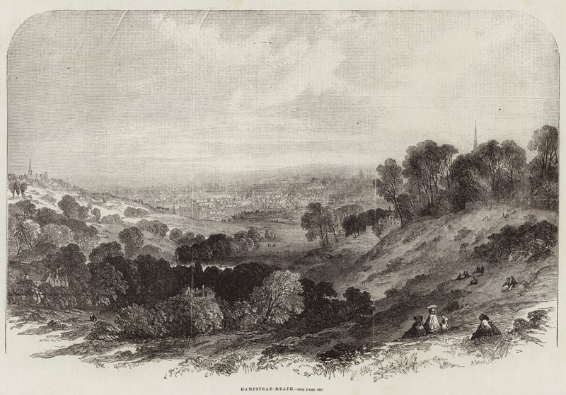 Hampstead-Heath autorstwa Samuel Read