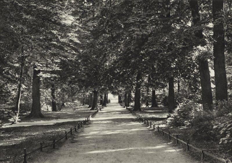 Berlin: Tiergarten (zdjęcie czarno-białe) autorstwa Sasha Stone