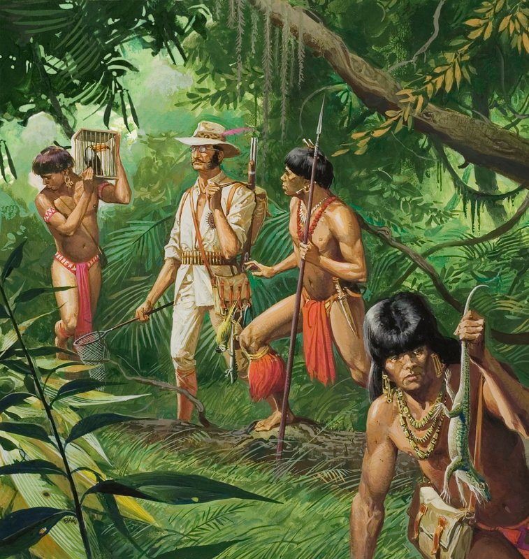 Henry Bates, odkrywca dorzecza Amazonki autorstwa Severino Baraldi