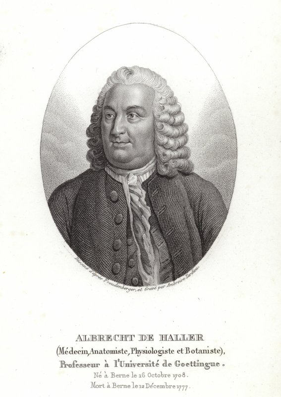 Albrecht von Haller autorstwa Sigmund Freudenberger