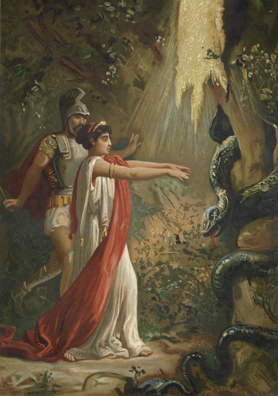 Medea usypia smoka strzegącego Złotego Runa autorstwa Spanish School