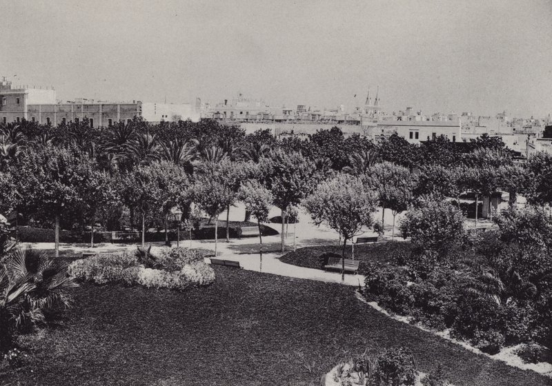 Kadyks: Parque Genoves (zdjęcie czarno-białe) autorstwa Spanish Photographer
