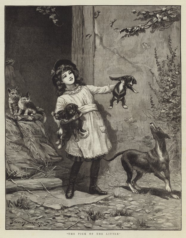 The Pick of the Litter autorstwa Stanley Berkeley
