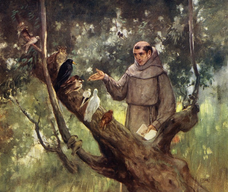 Święty Franciszek przemawia do ptaków (kolor lito) autorstwa Stephen Reid