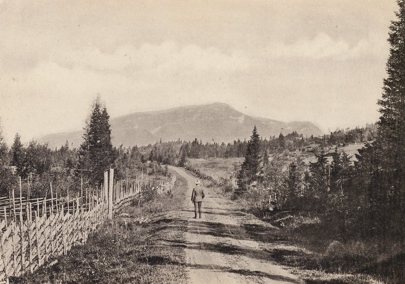 Szwecja / Szwecja: Jamtland, Areskutan Fran Undersaker (zdjęcie czarno-białe) autorstwa Swedish Photographer