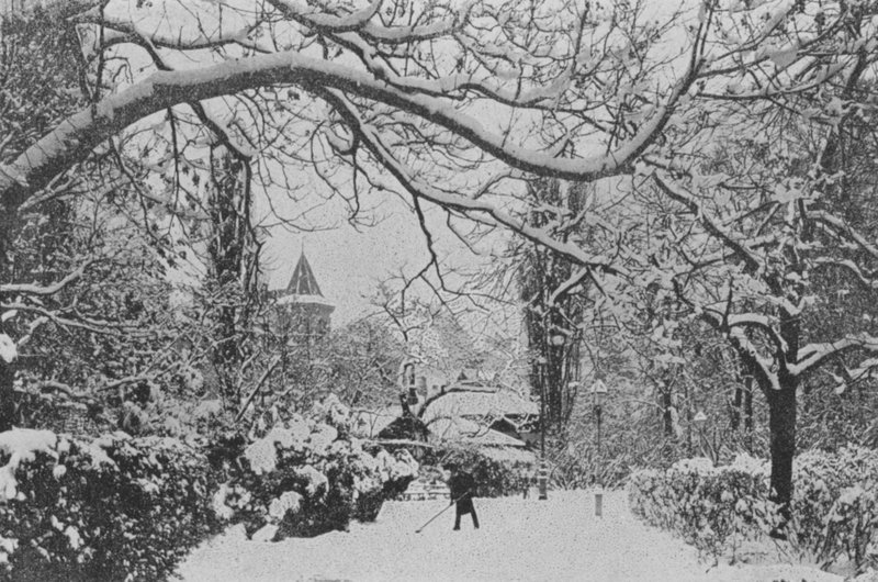 Neuchatel, Ogród Angielski (zdjęcie czarno-białe) autorstwa Swiss Photographer