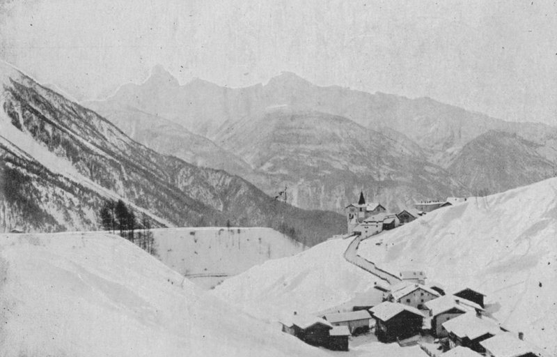 Wiesen przed Davos (zdjęcie czarno-białe) autorstwa Swiss Photographer