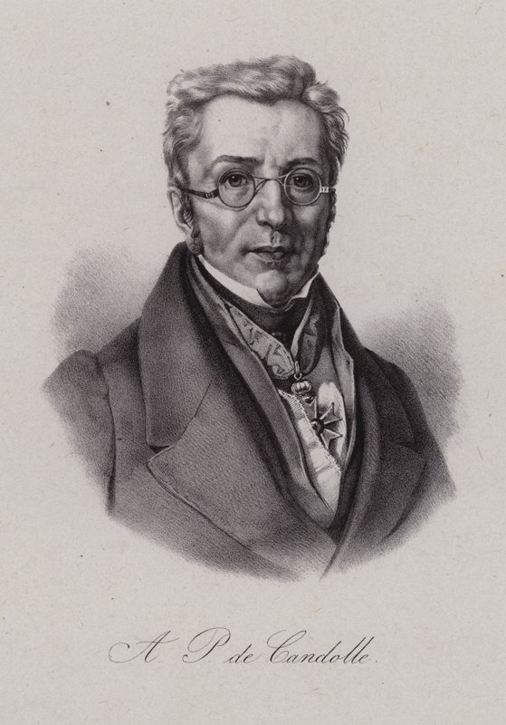 Augustin Pyramus z Kuby, szwajcarski botanik (grafika) autorstwa Swiss School