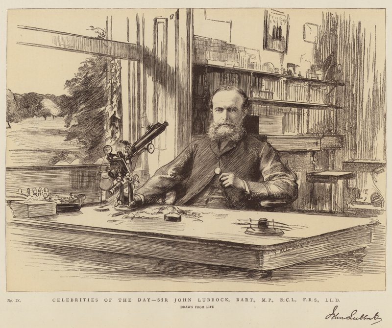 Gwiazdy Dnia, Sir John Lubbock, Baronet, MP, DCL, FRS, LLD autorstwa Theodore Blake Wirgman