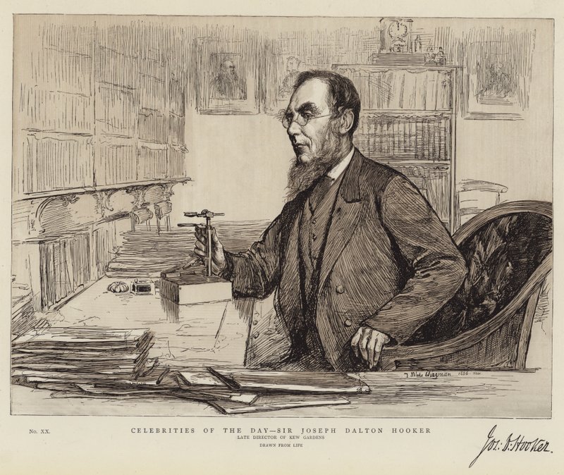 Gwiazdy Dnia, Sir Joseph Dalton Hooker autorstwa Theodore Blake Wirgman