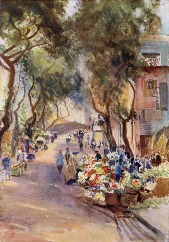 Hongkong, targ kwiatowy autorstwa Thomas Hodgson Liddell